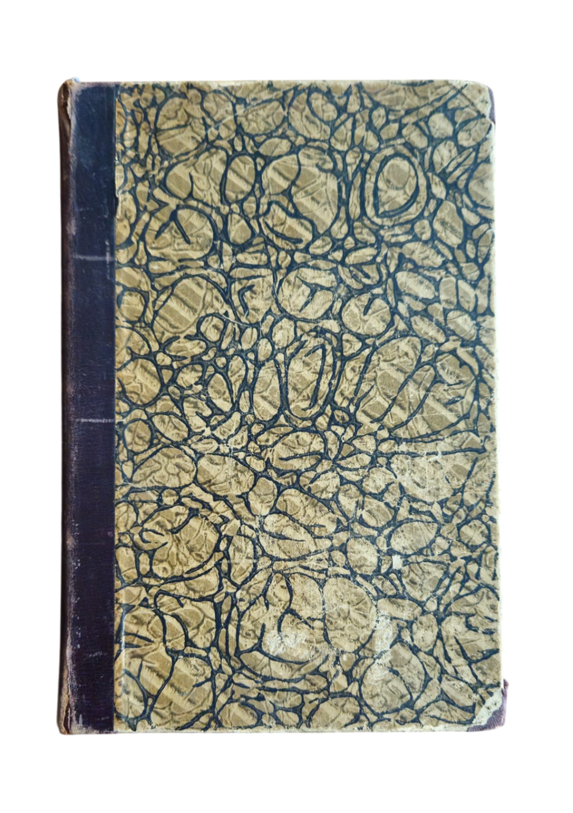 очерки из всемирной истории 1896 года
